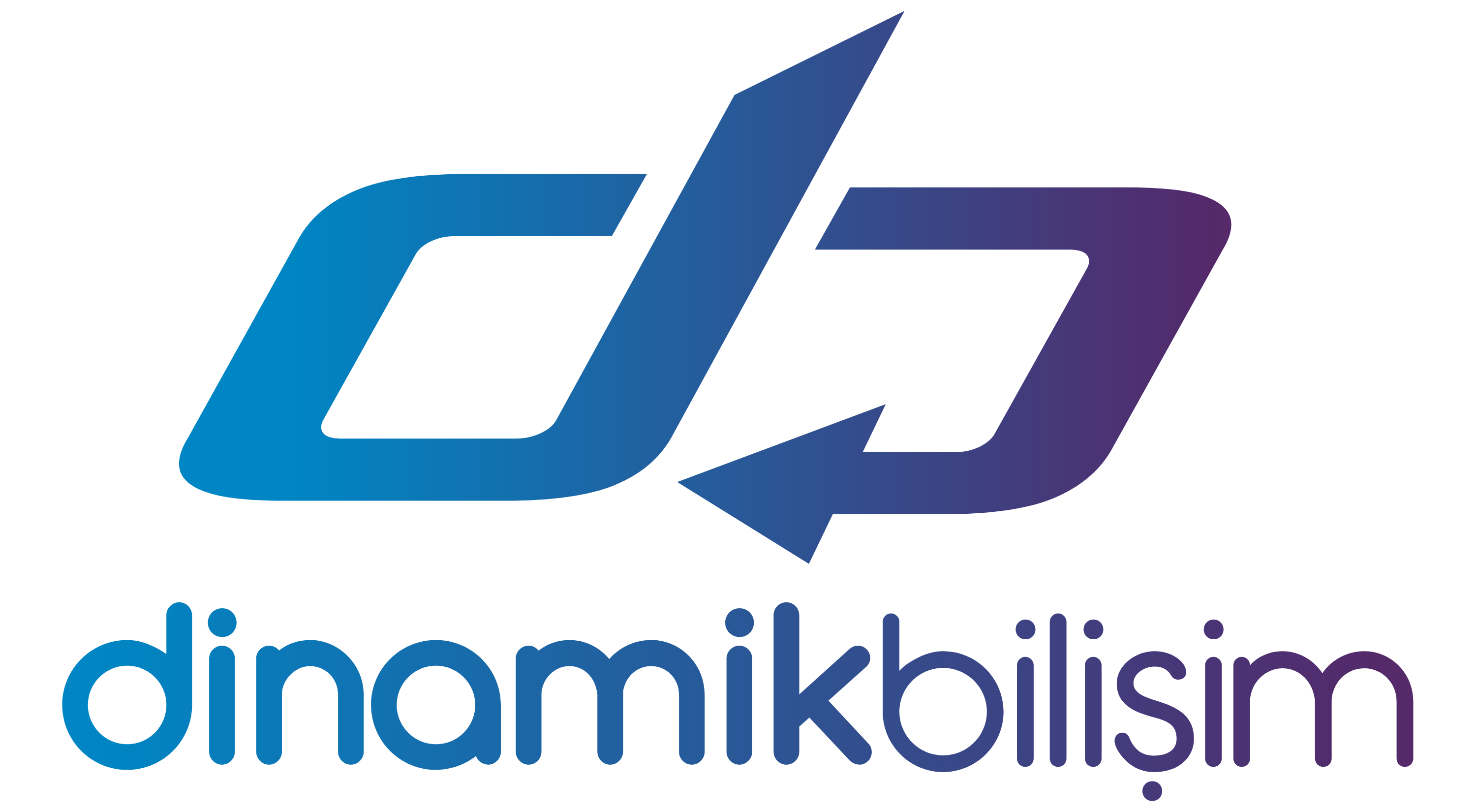 Dinamik Bilişim